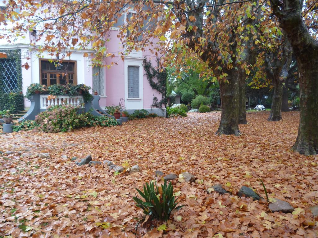Hotel Alihuen Sierra de la Ventana Exteriör bild